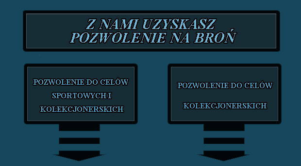 Pozwolenie na broń