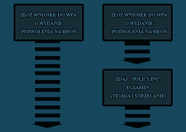 Pozwolenie na broń