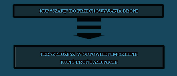 Pozwolenie na broń